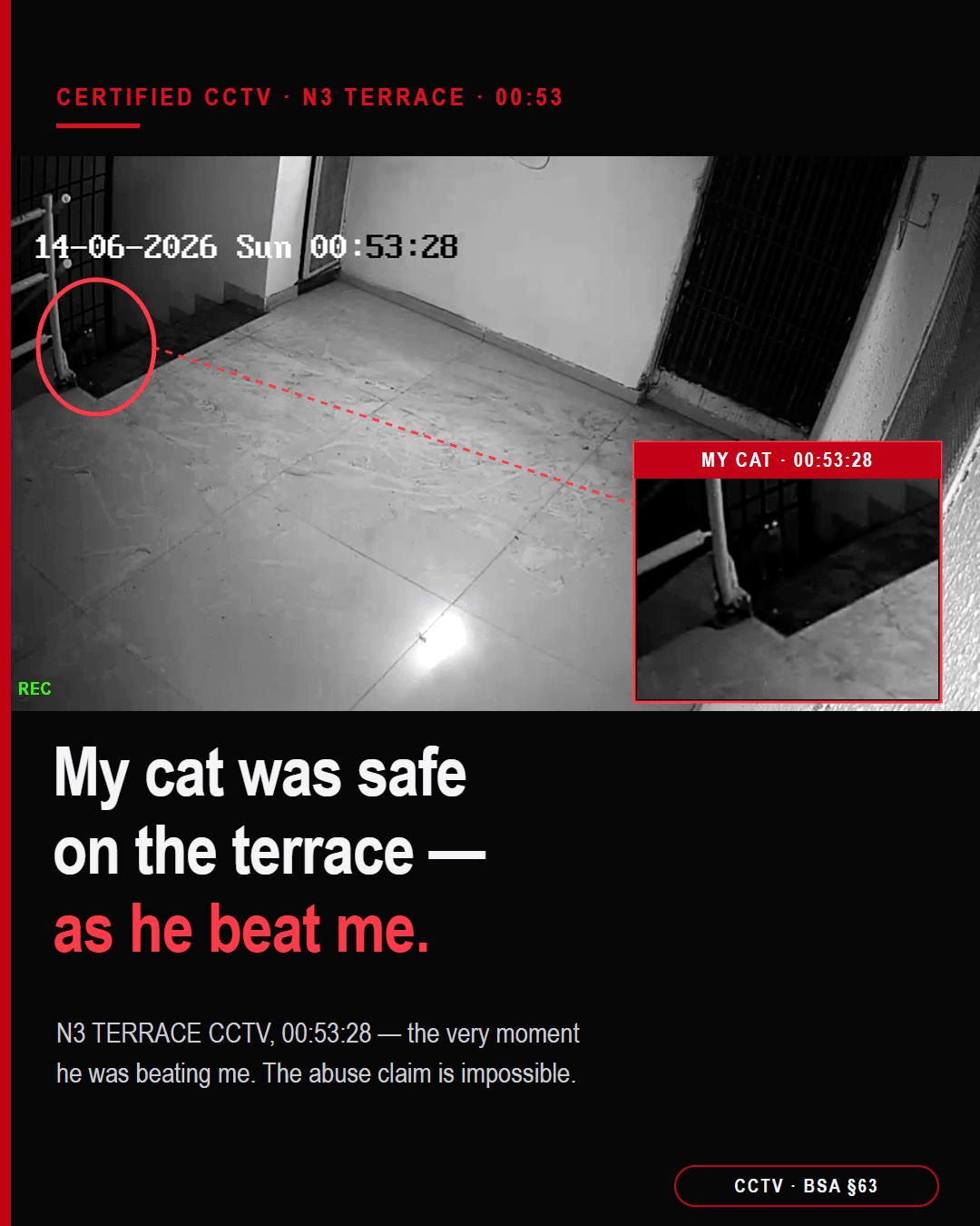 Certified society CCTV: the cat, safe on the terrace, at the time of the assault — the simplest answer to a baseless allegation.